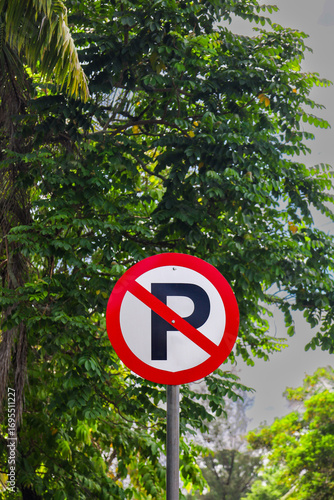 Clear Outdoor View of No Parking Restriction Sign with Green Tree