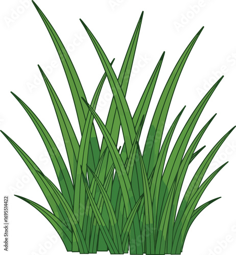 Lush green grass blades isolated on white background in a simple illustration