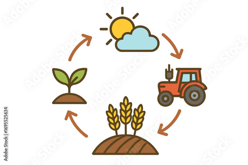 Agriculture cycle infographic. Farming and cultivation process. Plant growth, from seeding sprout to harvesting wheat crop. Tractor machinery, sun weather. Food production vector.