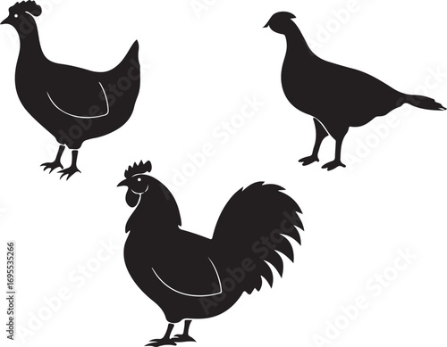 Silhouettes of Rooster, Hen, and Pheasant