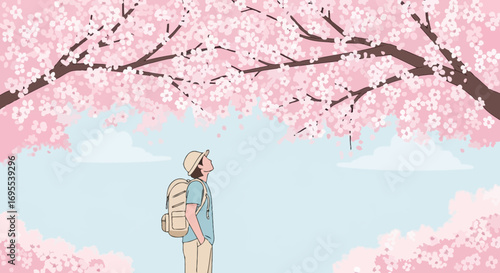 A Person Admiring Cherry Blossoms Under a Blooming Tree in Spring Season