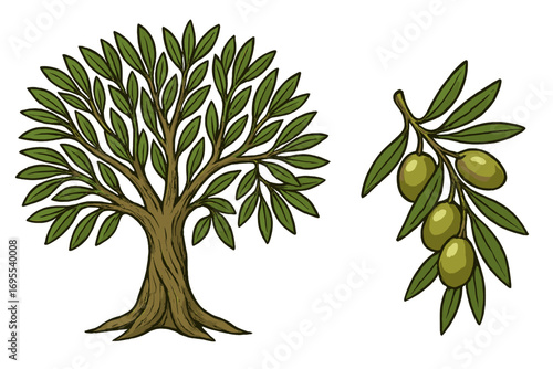Detailed olive tree illustration with branch and ripe olives, natural fruit design, cartoon style vector, decorative transparent background, botanical set for nature themes