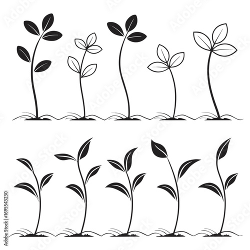 Monochromatic sprouts growing in rows on black background