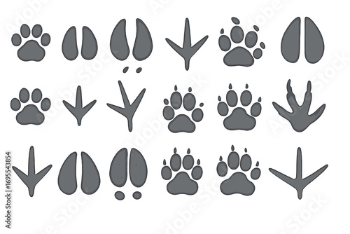 Various animal tracks and paw prints collection with wildlife footprints, bird tracks, mammal paws, hooves and claws vector cartoon illustration on white background, educational set