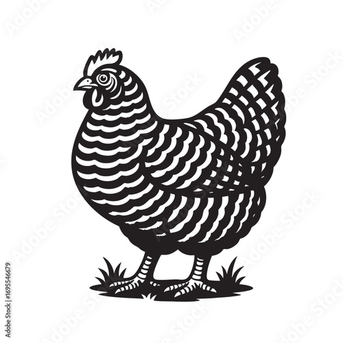 An elegant and minimalist black and white vector of a Barred Rock chicken. Farm animals.