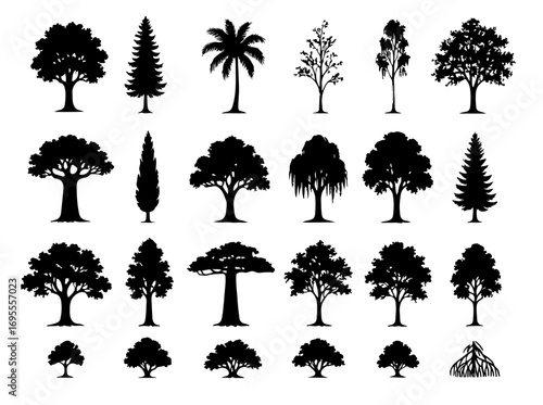Forest Trees Silhouette Set Outline with Popular Oak, Pine, Palm, and Nature Woodland Design Elements