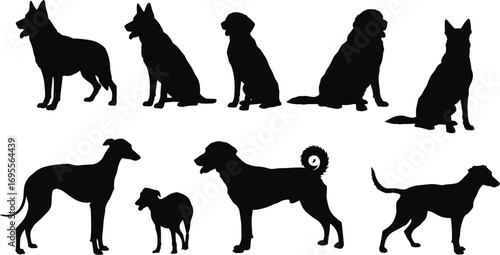 Collection of dog silhouettes in standing and sitting poses, vector black animal outlines, domestic pet illustration set, multiple breeds design