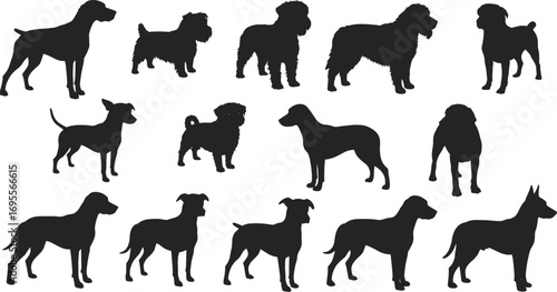Set of various dog silhouettes, black pet animal vector illustration, domestic dogs in different poses, graphic outline design collection