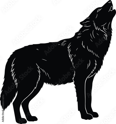 Wild wolf silhouette howling at night sky, black animal vector illustration for wildlife nature, forest design, hunting and outdoor artwork