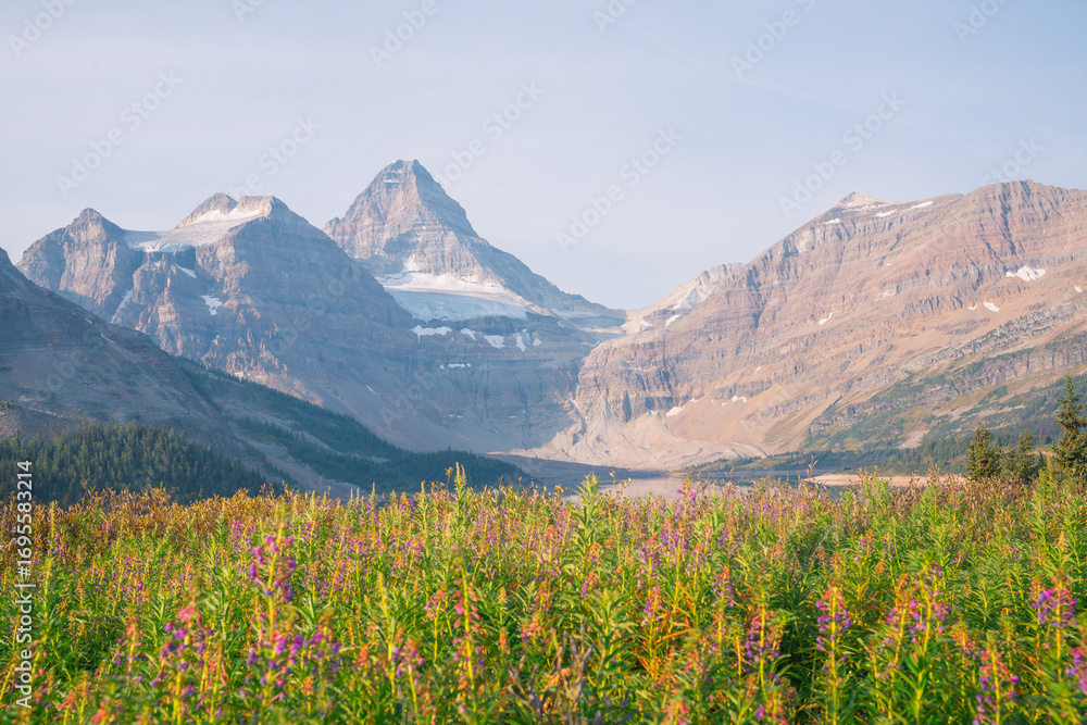 Obraz premium Mountain landscape 