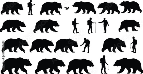 Wild bear and hiker silhouette vector set, walking trekking man with backpack, animal wildlife outdoor adventure design isolated on white