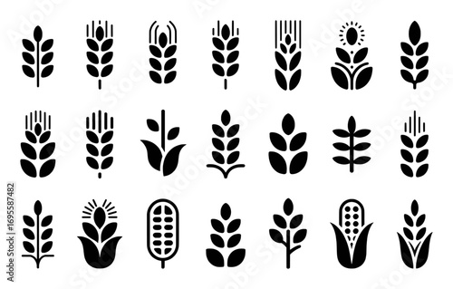 Collection of stylized icons representing various grains and crops