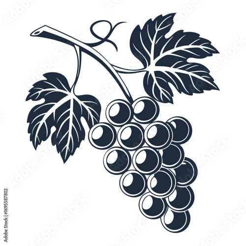bunch of grapes vector