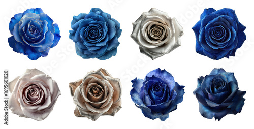 Fototapeta Naklejka Na Ścianę i Meble -  PNG Elegant blue and beige roses, element set on transparent background