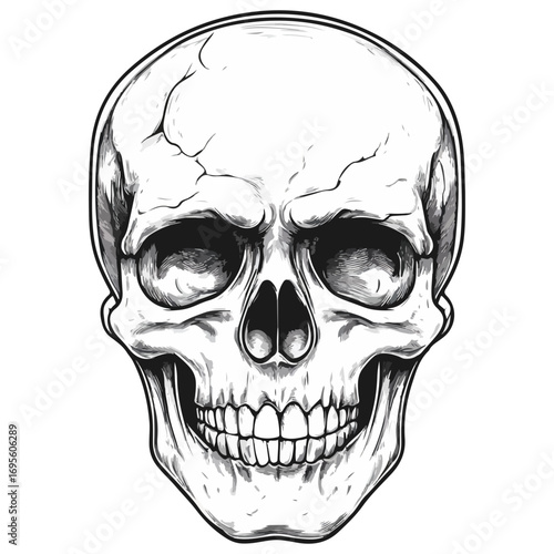 skull, halloween, festival, vector, transparent background, head, skeleton, death, dead, anatomy, horror, evil, scary, bones, danger, tattoo, mask