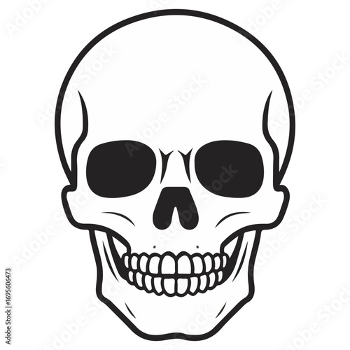 skull, halloween, festival, vector, transparent background, head, skeleton, death, dead, anatomy, horror, evil, scary, bones, danger, tattoo, mask