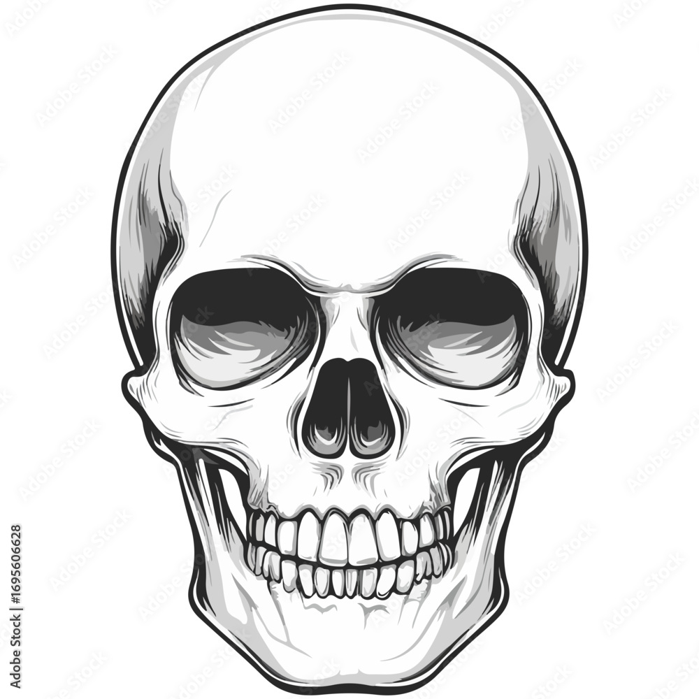 Fototapeta premium skull, halloween, festival, vector, transparent background, head, skeleton, death, dead, anatomy, horror, evil, scary, bones, danger, tattoo, mask