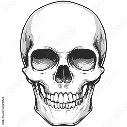 skull, halloween, festival, vector, transparent background, head, skeleton, death, dead, anatomy, horror, evil, scary, bones, danger, tattoo, mask