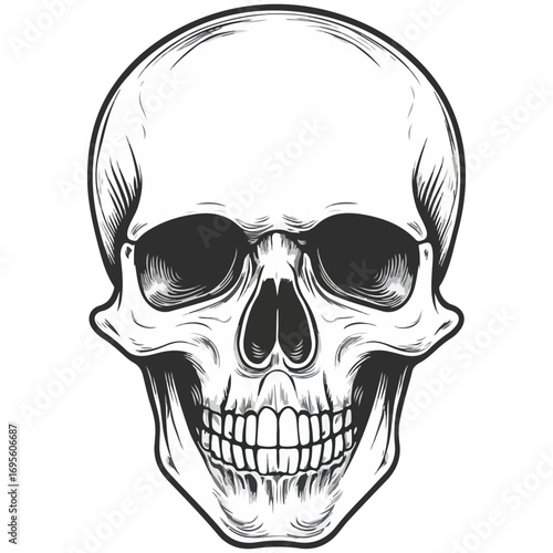 skull, halloween, festival, vector, transparent background, head, skeleton, death, dead, anatomy, horror, evil, scary, bones, danger, tattoo, mask