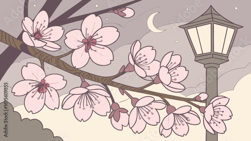 Beautiful cherry blossom branch with a vintage street lamp and moonlit sky illustration scene vector