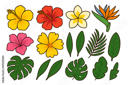 Vector set of tropical flowers and leaves. Cartoon clipart collection with hibiscus, plumeria, bird of paradise, monstera and palm leaf. Exotic Hawaiian summer design elements.