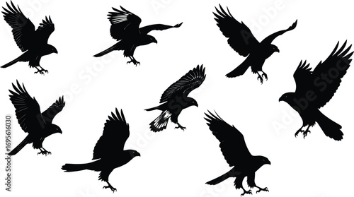 Set of Flying Hawk Silhouettes, Birds of Prey, Raptors in Motion, Attack Poses, Wildlife Illustration, Predator Birds Vector Collection