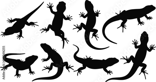 Set of Lizard Silhouettes in Various Poses, Reptile Animal Vector, Climbing, Crawling, Wildlife, Exotic Creature, Nature Design Illustration