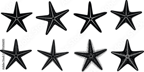Set of Starfish Silhouettes, Marine Animal Icons, Sea Star Vector Illustration, Ocean Life Graphic, Aquatic Wildlife Design, Nautical Clipart