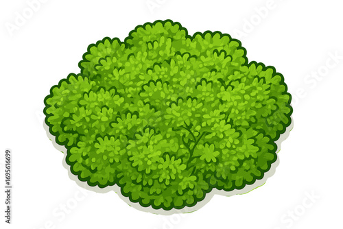 Top-down view fresh green moss texture, vibrant lush moss pile illustration, natural plant greenery, cartoon style vector, isolated on white transparent background for design