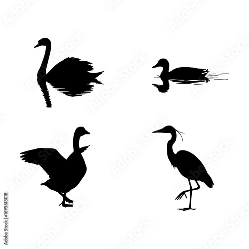 Silhouette depiction of a swan, duck, goose, and heron in a black and white arrangement of avian species