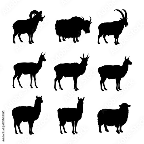 Silhouette collection of various horned animals including sheep llama yak and mountain goats in black