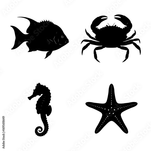 Black silhouettes of a fish, a crab, a seahorse and a starfish on a white isolated background image