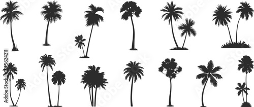 Palm tree silhouette vector set, tropical tree icons, exotic plant graphic, summer beach tree design, jungle palm shapes, black coconut tree illustration.