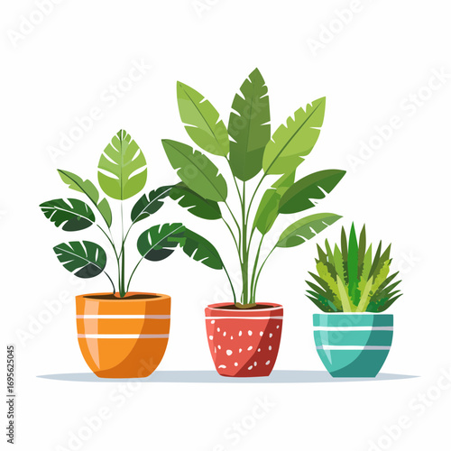 Three potted plants a leafy plant a banana plant and a succulent