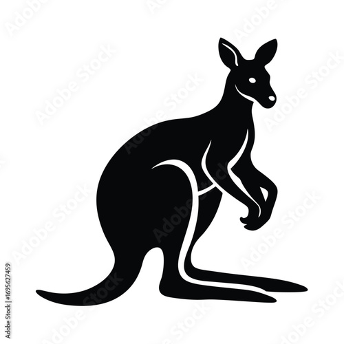 kangaroo vector illustration