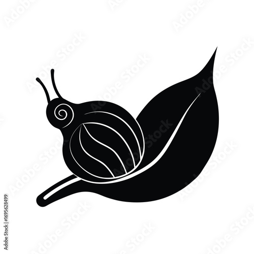 snail on a white background
