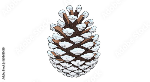 A detailed illustration of a snow-covered pine cone, showcasing its intricate scales and pointed tips.