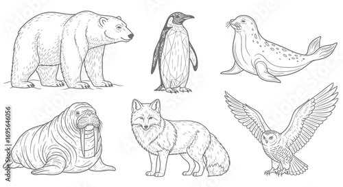 Line art illustration of arctic animals including a polar bear, penguin, seal, walrus, fox, and owl.