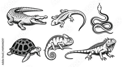 A detailed illustration of various reptiles including a crocodile, lizard, snake, turtle, chameleon, and iguana.