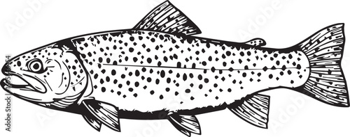 Black and White Illustration of a Speckled Trout Fish salmonidae aquatic