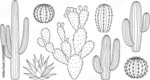 Minimal Botanical Cactus Plants Collection Line Art