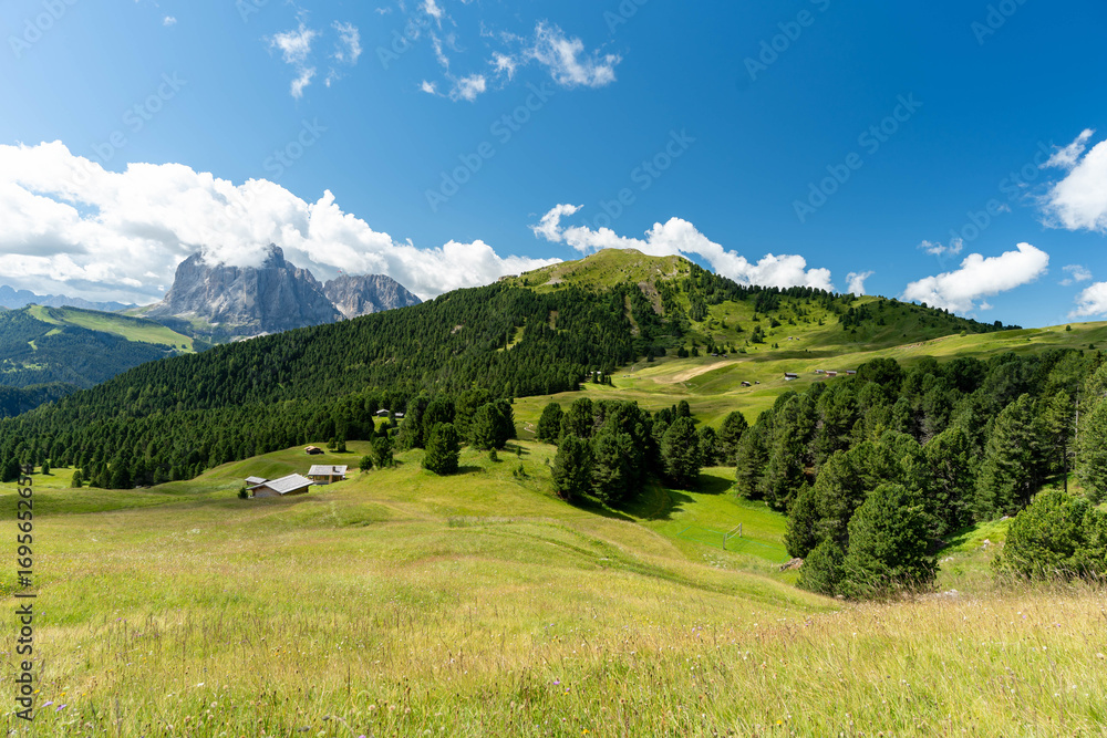 Obraz premium Mountain Landscape with Green Meadows and Alpine Houses
