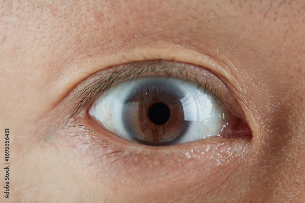 Fototapeta premium 目