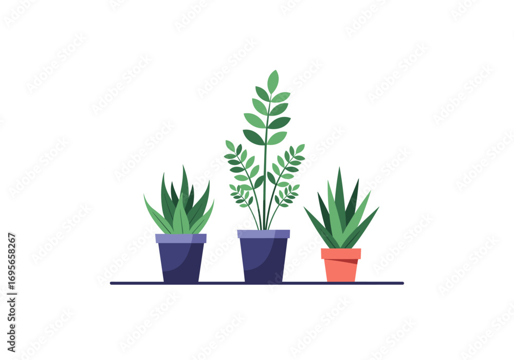 Obraz premium Three different potted plants on a shelf representing home decor ideas