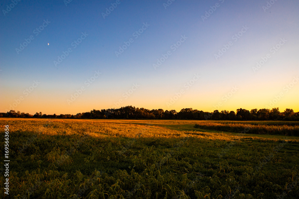 Obraz premium sunset over the open field with completely clear sky