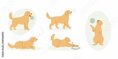 Golden retriever dog engaged in various playful activities and behaviors