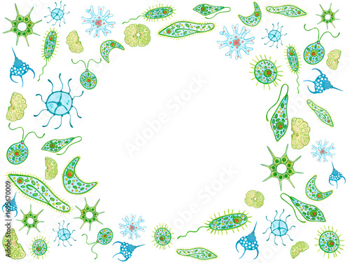 Fotografie Frame of unicellular organisms, photoplankton, zooplankton