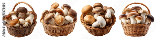Set of isolated basket with mixed mushrooms on transparent background for cooking and food ingredient design.