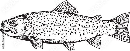 Black and White Illustration of a Trout Fish salmon