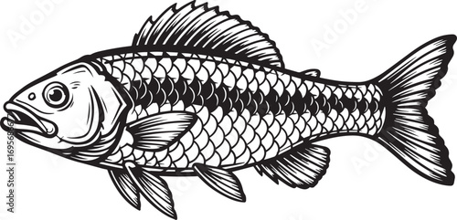 Black and White Illustration of a Fish outline drawing